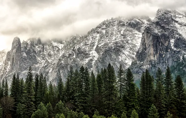 Winter, forest, mountains, USA, USA, Yosemite national Park, Yosemite National Park, State California