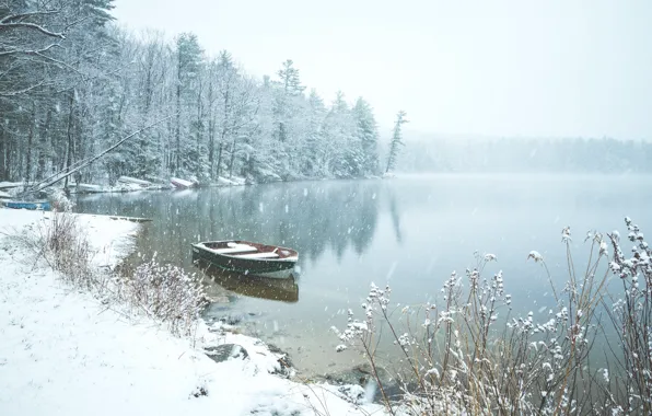 Winter, forest, snow, lake, pond, boat, England, England