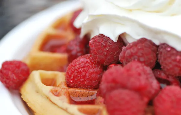 Picture berries, raspberry, cream, dessert, waffles, syrup