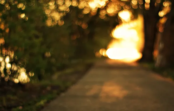 Picture road, greens, the sun, trees, nature, the evening, path, bokeh