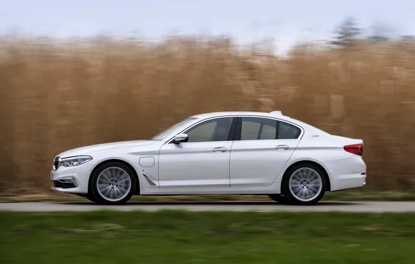 White, grass, BMW, profile, sedan, hybrid, 5, four-door