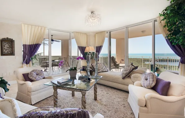 Design, table, orchids, sofas, living room