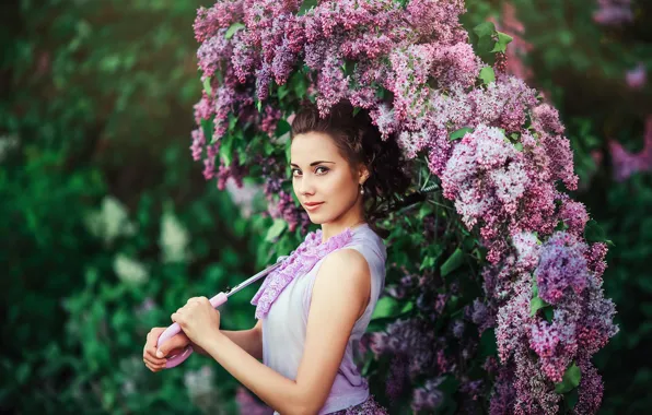 Picture flowers, umbrella, lilac, brown eyed girl