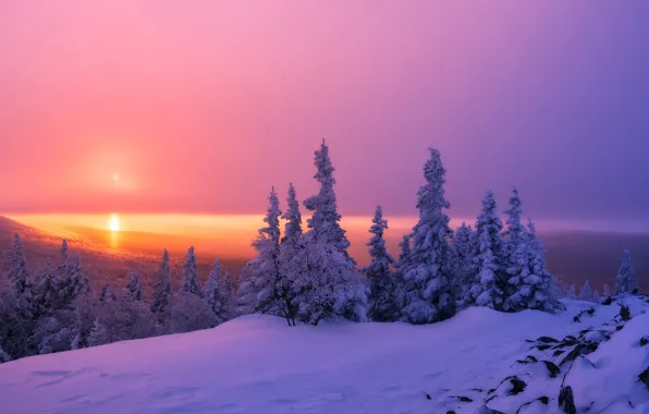Winter, forest, snow, sunset, ate, Russia, Ural, Chelyabinsk oblast
