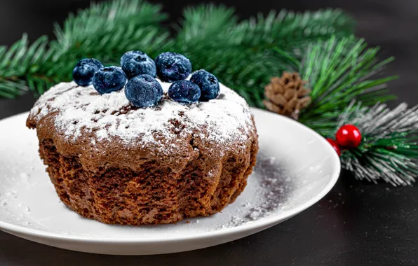 Branches, berries, plate, Christmas, New year, cupcake, powdered sugar, blueberries