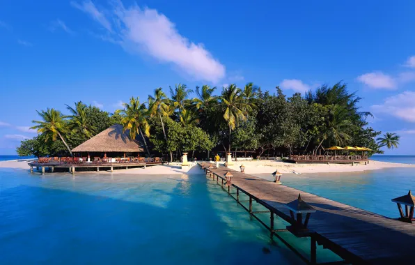 Sand, sea, beach, the sky, palm trees, island, lantern, The Maldives