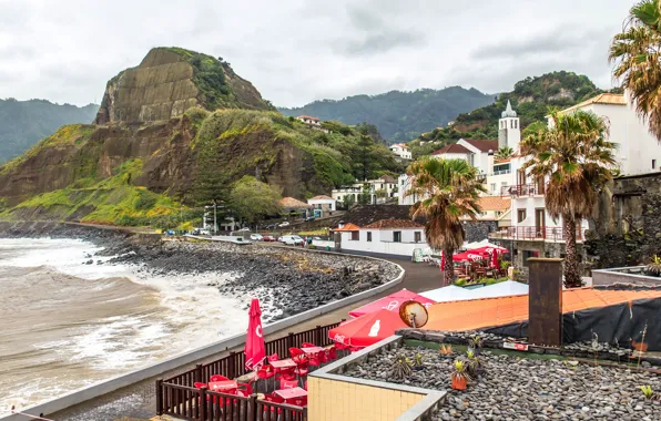 Sea, trees, palm trees, rocks, coast, home, Portugal, Madeira