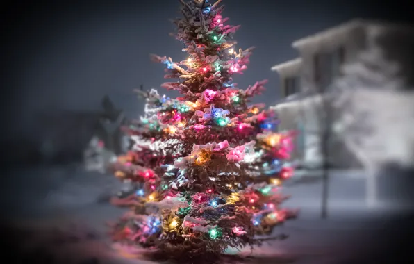 Winter, snow, lights, tree, new year, garland