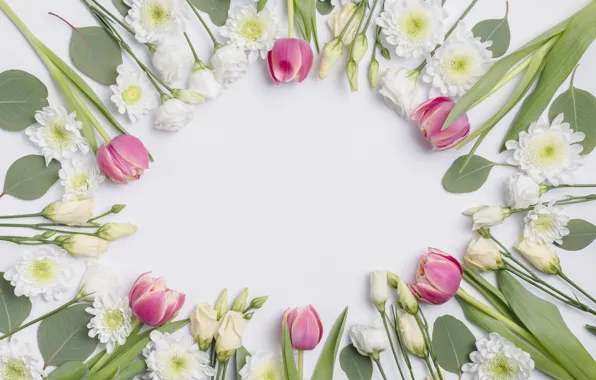 Flowers, tulips, chrysanthemum, eustoma