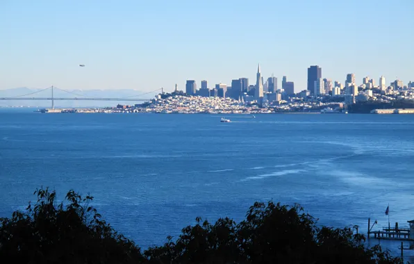 City, the city, USA, California, San Francisco