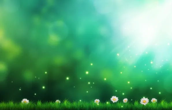 Picture flowers, green, background