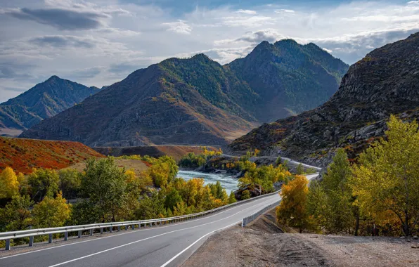 Road, autumn, trees, mountains, river, Drobotenko Evgeny