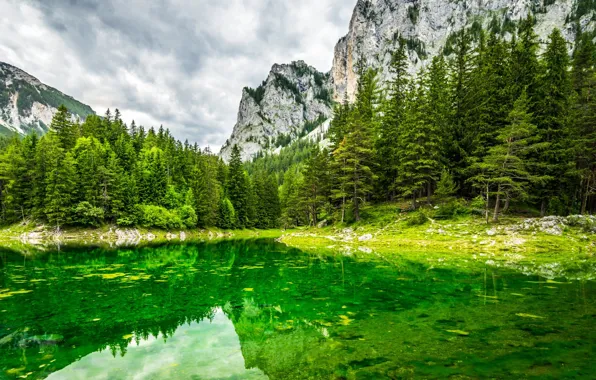 Picture trees, mountains, lake