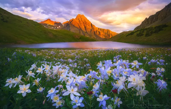 Flowers, mountains, nature, lake