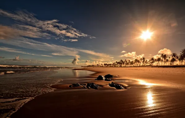 Brazil, Bahia, Sunset on Costa do Sauipe beach