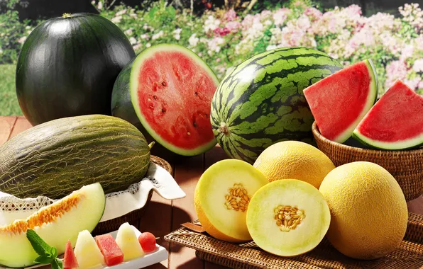 Summer, watermelons, slices, melon