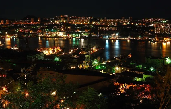 Night, lights, Vladivostok, Primorye, the capital of Primorye