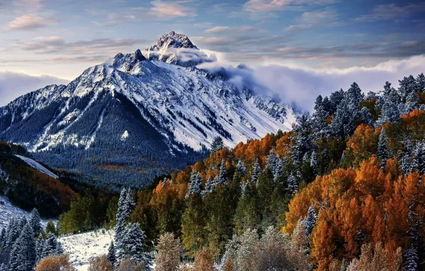 Picture forest, the sky, clouds, snow, trees, mountains, tops