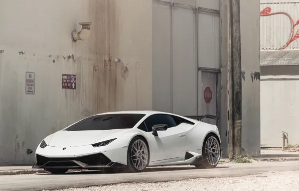 Picture Lamborghini, white, Huracan, LP610