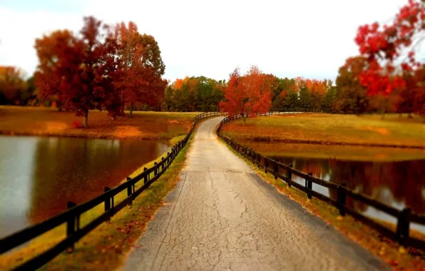 Picture autumn, forest, the sky, leaves, water, trees, mountains, nature