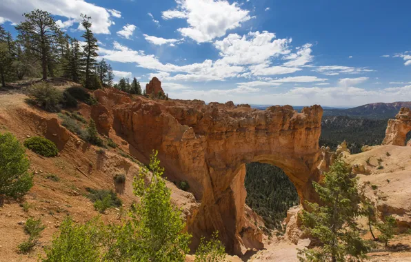 Nature, Park, stones, rocks, USA, Utah, Zion