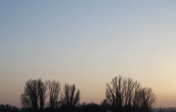 The sky, Nature, Landscape, Filters, Different, The background
