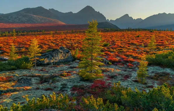 Picture autumn, landscape, mountains, nature, vegetation, Vladimir Ryabkov, Kolyma