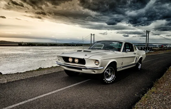 Mustang, Ford, Shelby, Mustang, Ford, 1967, GT350
