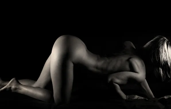 Background, black, body, form