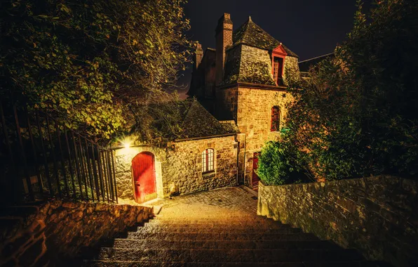 Picture trees, night, lights, house, street, ladder, stage, Mont-Saint-Michel