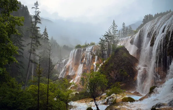 Picture forest, trees, fog, stones, rocks, waterfall