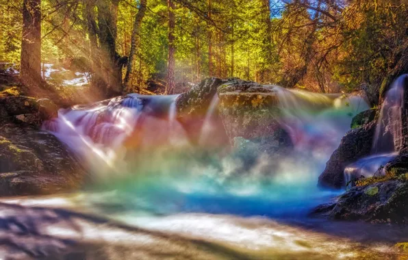 Picture waterfall, rainbow, forest, squirt