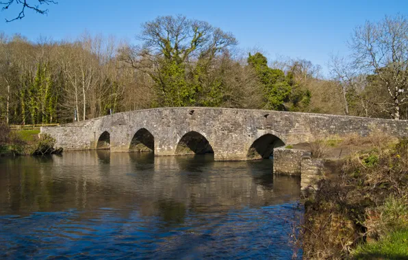 Picture the sky, trees, bridge, river, arch