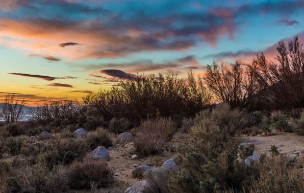 Picture the sky, clouds, stones, the evening, the bushes