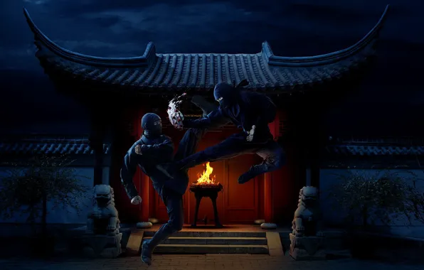 Night, fire, temple, Ninja