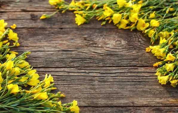 Flowers, Board, yellow, yellow, wood, blossom, flowers, spring