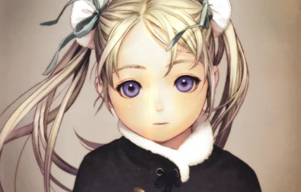 Face, hairstyle, fur, grey background, Cape, two tails, Last Exile, Exile