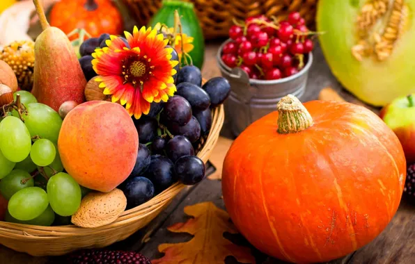 Berries, fruit, still life, vegetables