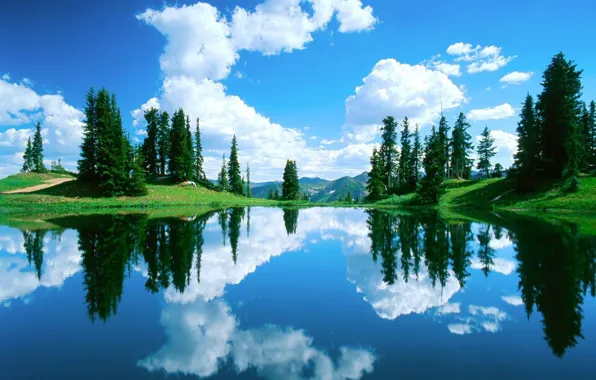 Picture forest, the sky, water, clouds