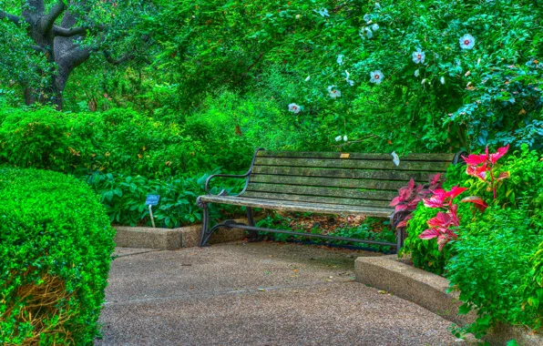 Picture trees, flowers, Park, hdr, the bushes, bench