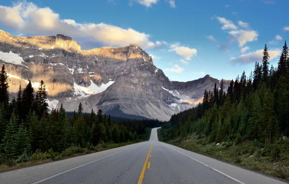 Road, forest, landscape, mountains, nature