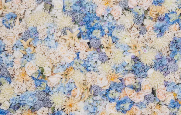 Picture flowers, Wallpaper, texture