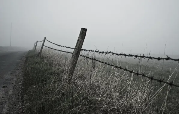 Road, landscape, fog, the fence, morning