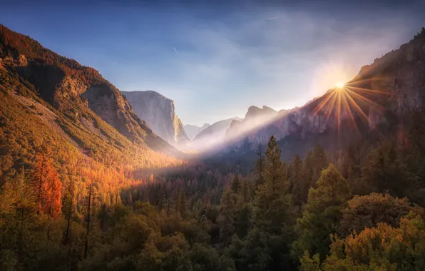 Autumn, forest, the sun, rays, mountains, Park, dawn, Yosemite National Park