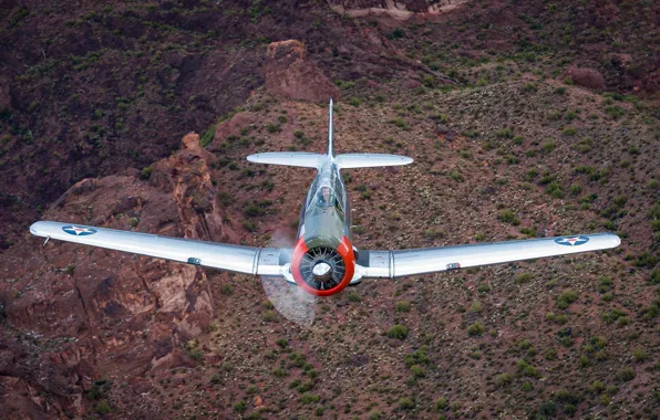 Picture the plane, T-6, training, Texan II