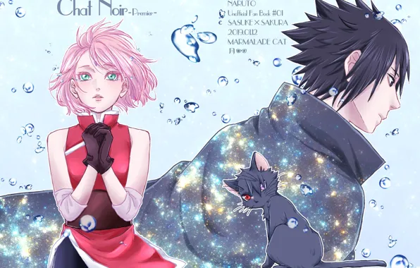 Picture cat, dreams, Naruto, Naruto, Sasuke Uchiha, Sakura Haruno