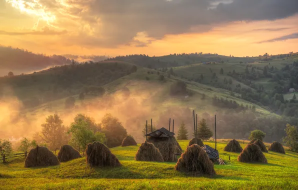 Picture landscape, nature, fog, hills, field, morning, hay, Carpathians