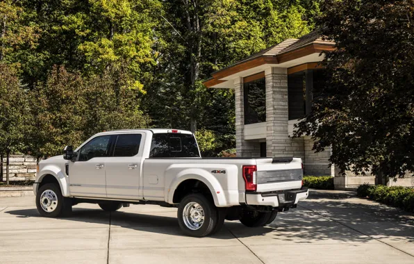 Picture trees, vegetation, Ford, pickup, 4x4, 2018, 440 HP, Super Duty