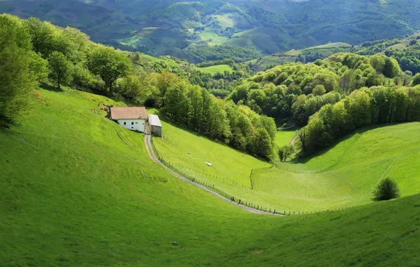 Picture France, Nature, Meadows, Home, Forest, Esnazu Aquitaine