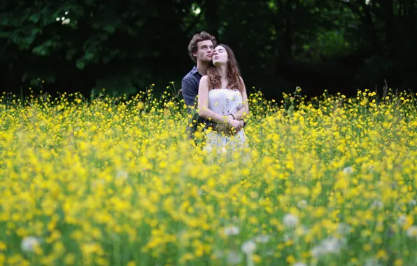 Picture field, girl, flowers, hugs, male, lovers